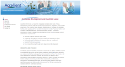 Desktop Screenshot of accellient.com
